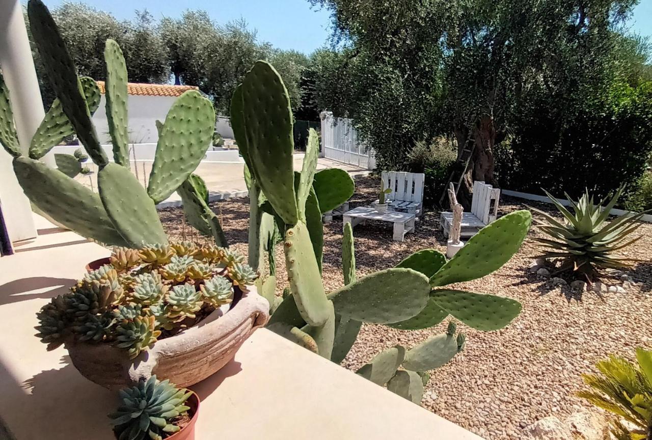 Sperlonga Bed and breakfast