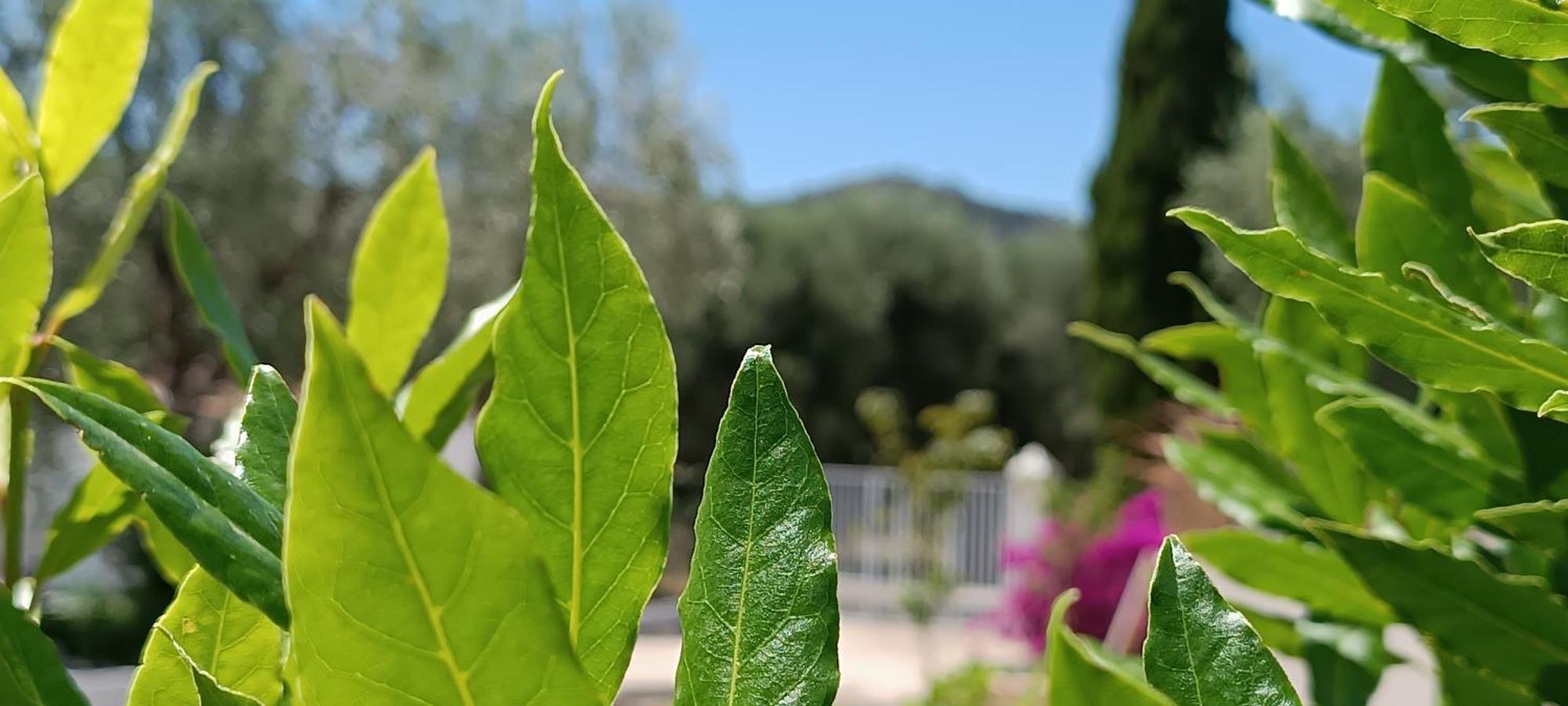 Bed & Breakfast Sperlonga *