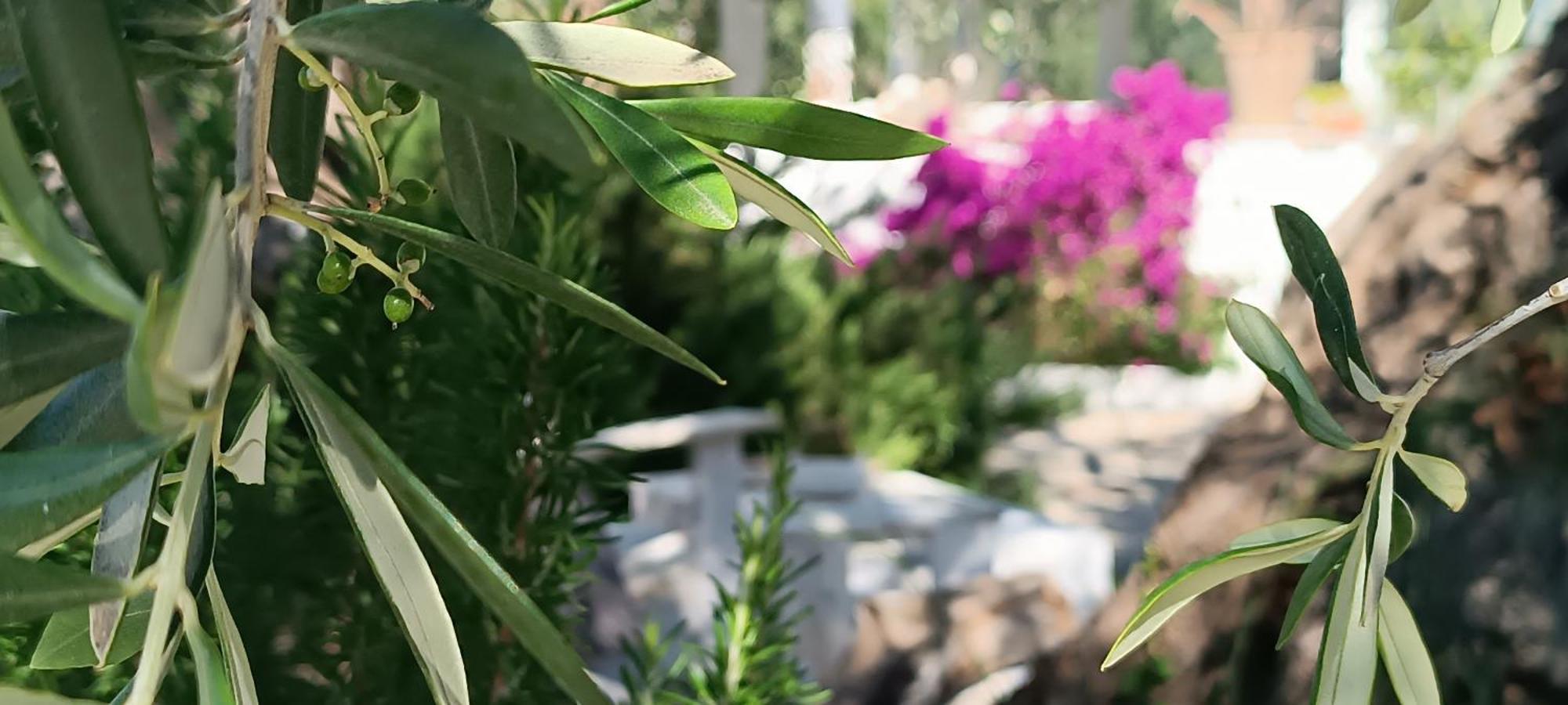 Sperlonga Bed and breakfast Mattinata