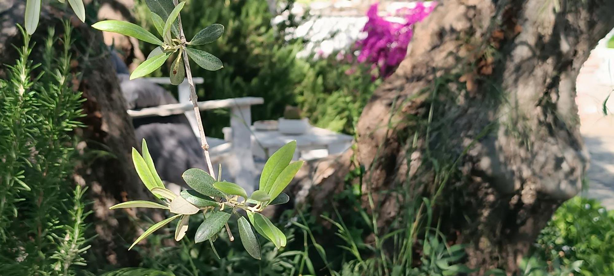 Sperlonga Bed & Breakfast *