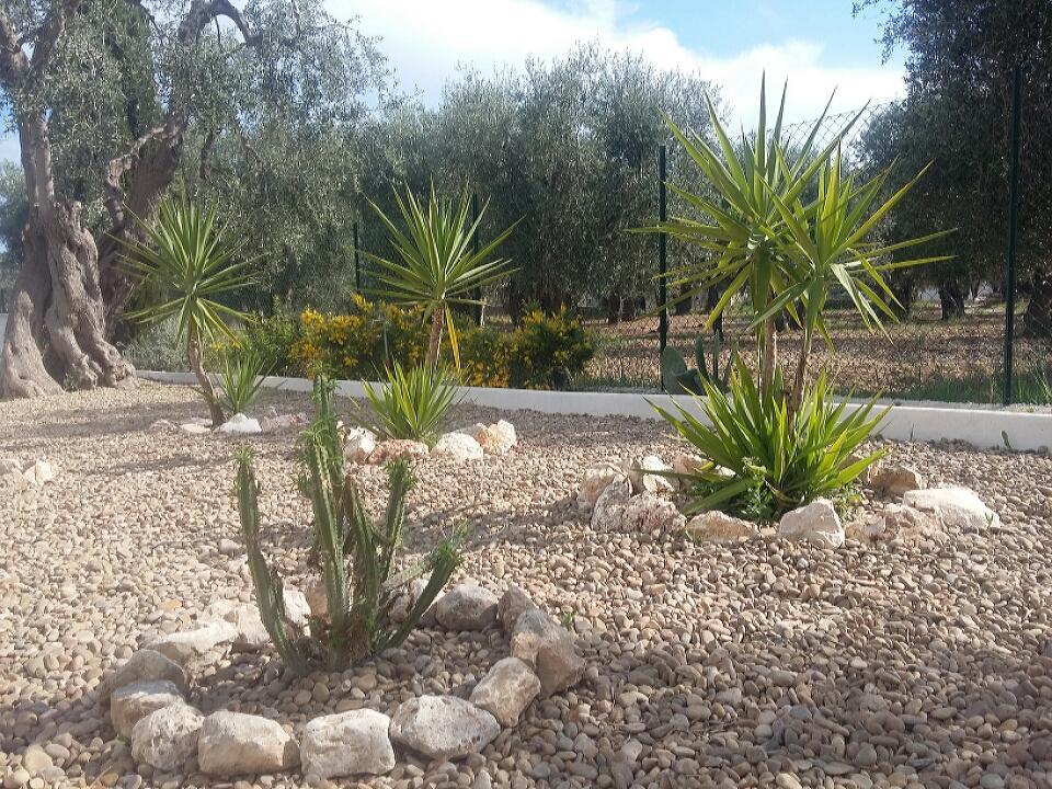 Sperlonga Bed and breakfast